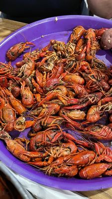 Crawdaddy's Kitchen by null