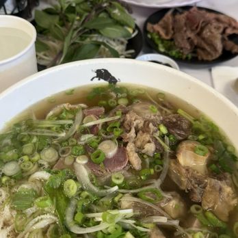 Pho Duoi Bo - Phở Đuôi Bò Đặc Biệt and Phở Tái KOBE... - Vietnamese Near Me - San Jose, California Pho Duoi Bo - Phở Đuôi Bò Đặc Biệt and Phở Tái KOBE... - Vietnamese Near Me - San Jose, California