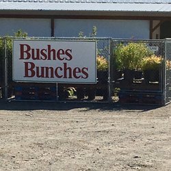 Bushes Bunches Greenhouse