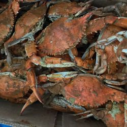 Wild Seafood - Box of dollar crabs.  I purchased 45