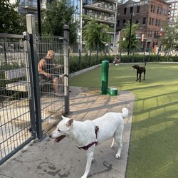 St. Andrew's Playground Dog Park - Got Kellie girl out for a morning get together.