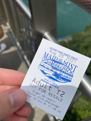 Maid of the Mist by null