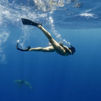 Hawaii Adventure Diving - Scuba Diving Near Me - Haleiwa, Hawaii