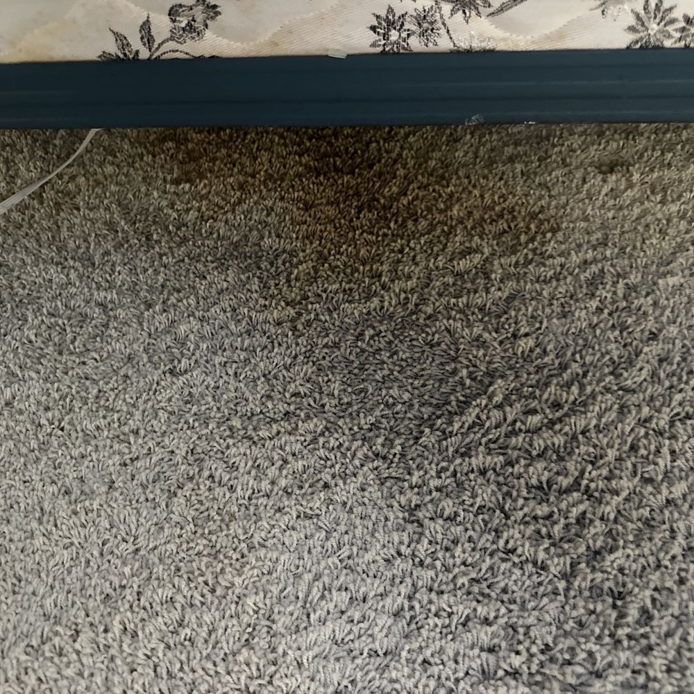 Socal Cleaner - Bedroom carpet before - Home Cleaning Near Me Socal Cleaner - Bedroom carpet before - Home Cleaning Near Me