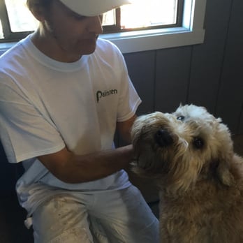 Paintzen - San Francisco - Our expert painter, with Finn, our mascot :) - Painters Near Me