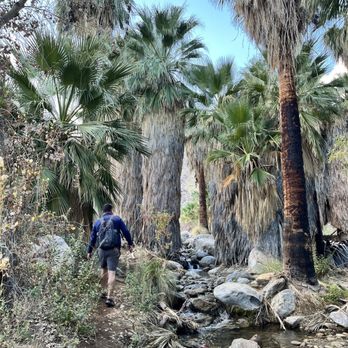 Indian Canyons - Parks Near Me - Palm Springs, California