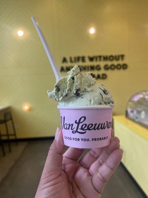 Van Leeuwen Ice Cream by null
