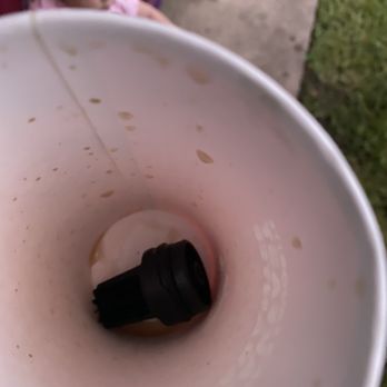 Wendy's - the inside of a white cup - Fast Food Near Me - Dania Beach, Florida