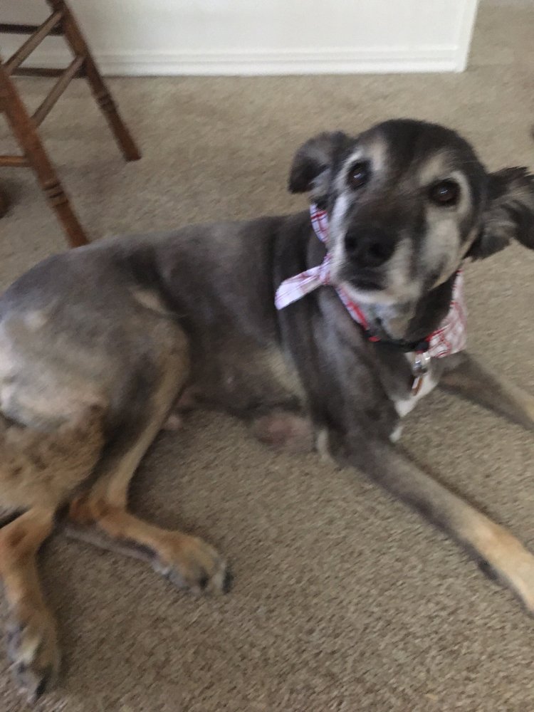 301 Moved Permanently