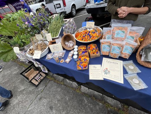 Arcata Plaza Farmers' Market by null