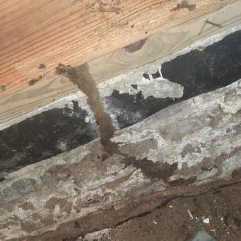Sweetgrass Home Services - a close up of a rotten wood floor - Pest Control Near Me - Ladson, South Carolina Sweetgrass Home Services - a close up of a rotten wood floor - Pest Control Near Me - Ladson, South Carolina