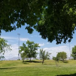 In the south center park, I am in the shade looking at open green space and trees.