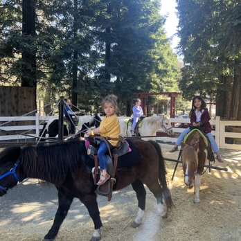 Lemos Farm - Pony rides! - Amusement Parks Near Me - Half Moon Bay, California Lemos Farm - Pony rides! - Amusement Parks Near Me - Half Moon Bay, California