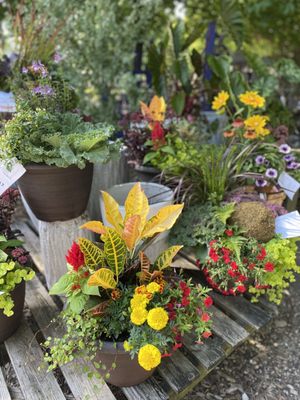 The Growing Place Garden Center by null