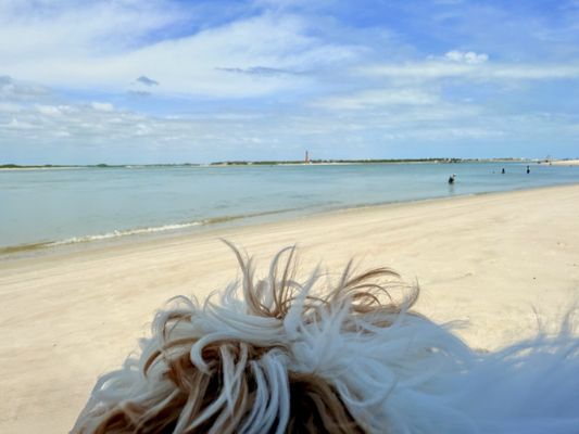 Smyrna Dunes Park by null