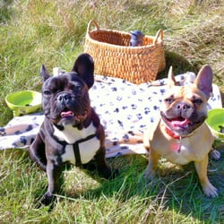 Komoka Provincial Park - I brought my bestie Bella here for a pickynick onetimes!