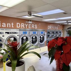 Woodbridge Laundry - Clean and beautiful!