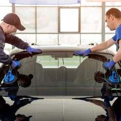 Wolf Auto Glass Repair