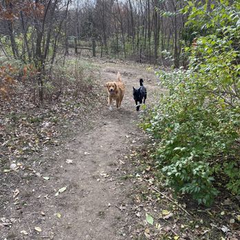 Thomas S Stoll Memorial Park - Dog park has wooded area - Dog Parks Near Me - Overland Park, Kansas Thomas S Stoll Memorial Park - Dog park has wooded area - Dog Parks Near Me - Overland Park, Kansas