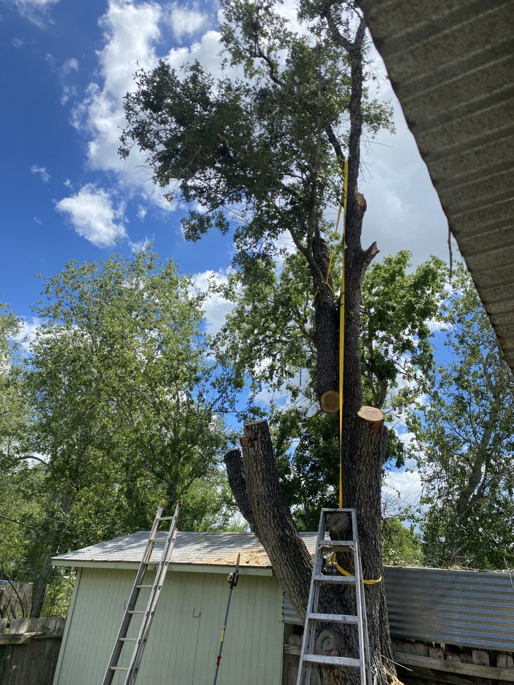 Slide of Pennys Handy Service