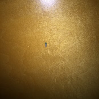 Easterner - Bug at 4 am - Hotels Near Me - Southampton, New York