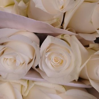 CYMNOW Flowers - Florists Near Me - Falls Church, Virginia CYMNOW Flowers - Florists Near Me - Falls Church, Virginia