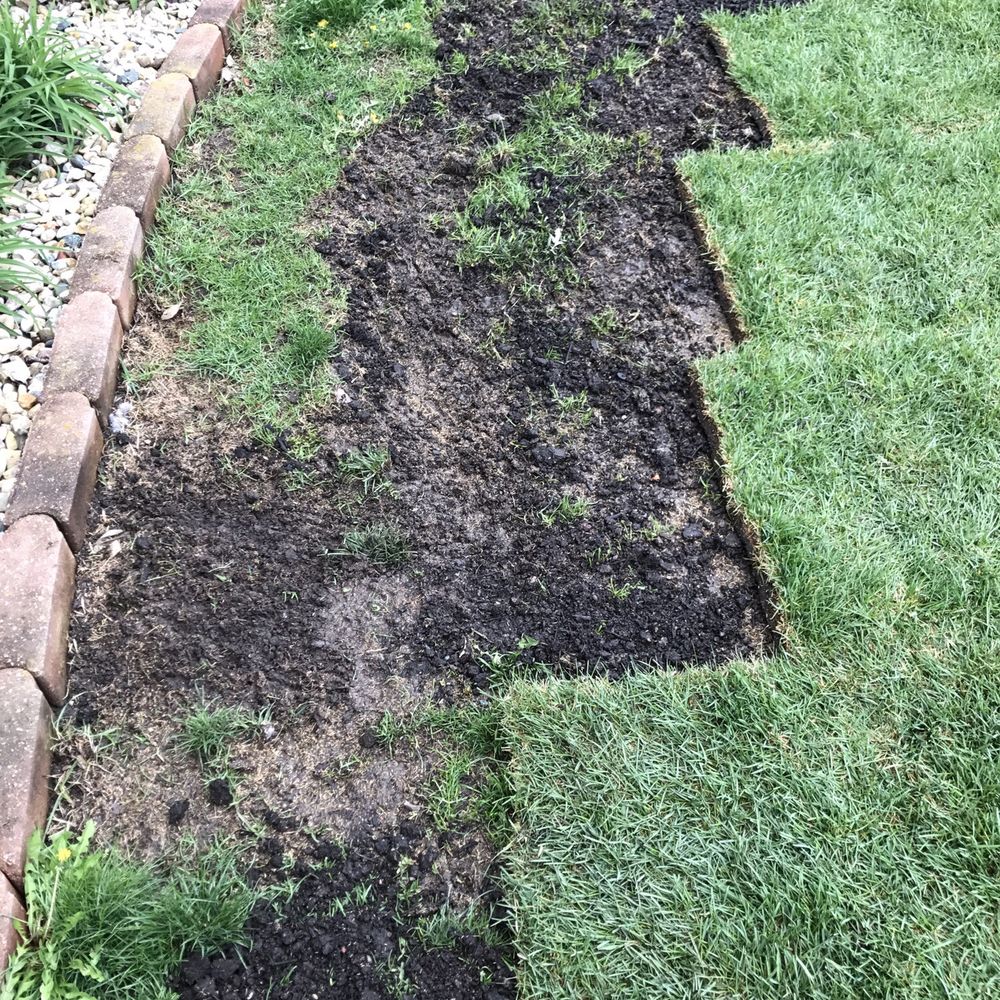 Vince Landscaping - Sod again not completed. - Landscaping Near Me Vince Landscaping - Sod again not completed. - Landscaping Near Me