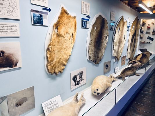 The Polar Museum by null