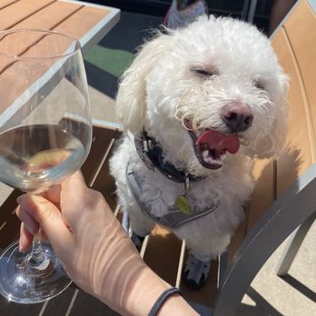 Deep Sea Tasting Room - Wine Tasting Room Near Me - Santa Barbara, California