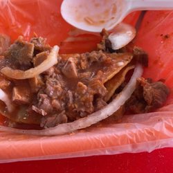 Mr. Paco's - Taco doradito de carnitas y requesón (filled with ricotta cheese and covered in pork carnitas)