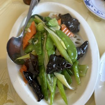 Shaanxi Gourmet - Veggie delight - Chinese Near Me - Natick, Massachusetts