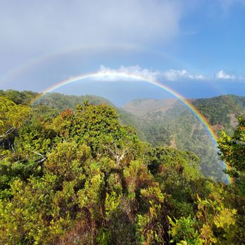 Awa'awapuhi Trail - Hiking Near Me