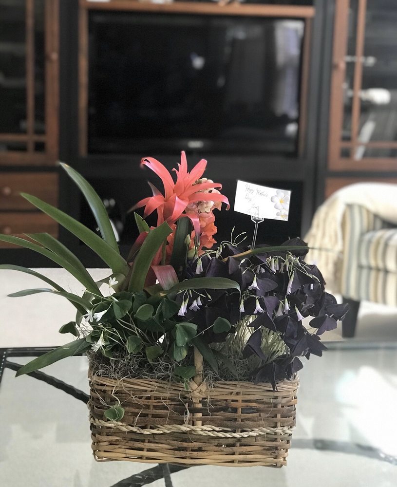 BUSS FLOWER SHOP Updated May 2024 23 Photos & 22 Reviews 322 N