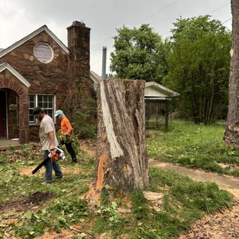 Super Trees - Tree Services Near Me Super Trees - Tree Services Near Me