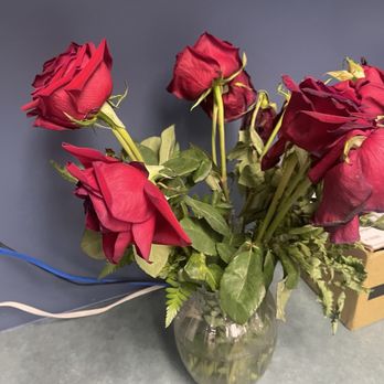 Creative Designs By Jim - These flowers didn't even last a week. - Florists Near Me - Wilmington, North Carolina Creative Designs By Jim - These flowers didn't even last a week. - Florists Near Me - Wilmington, North Carolina