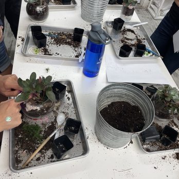 Succulent Native - Planting Party - Classic Package - Nurseries & Gardening Near Me - Austin, Texas