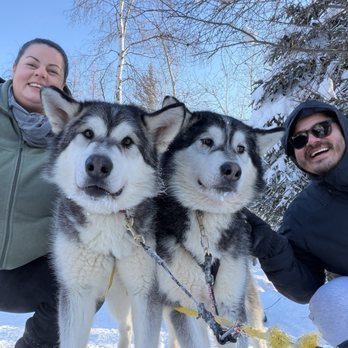 Firewalker Alaskan Malamute Kennel - Dogs - Tours Near Me - North Pole, Alaska Firewalker Alaskan Malamute Kennel - Dogs - Tours Near Me - North Pole, Alaska