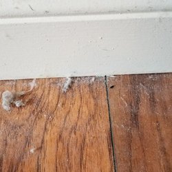 Reeds Manor - Mouse dropping and dirt under and behind the bed.