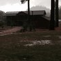 Photo of Nevada 4-H Club Camp