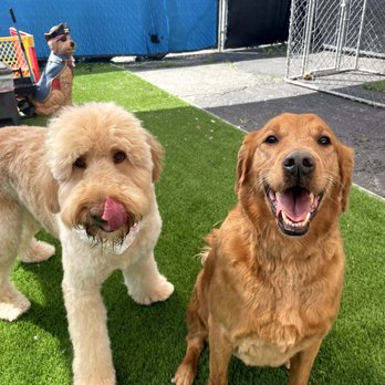 Pet Spaw - Pet Groomers Near Me - Glendora, California