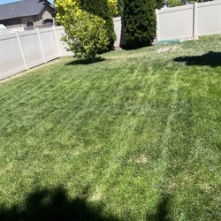 Pringles Mowing