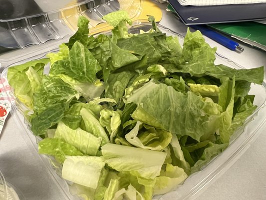 Silver Moon 1 by null