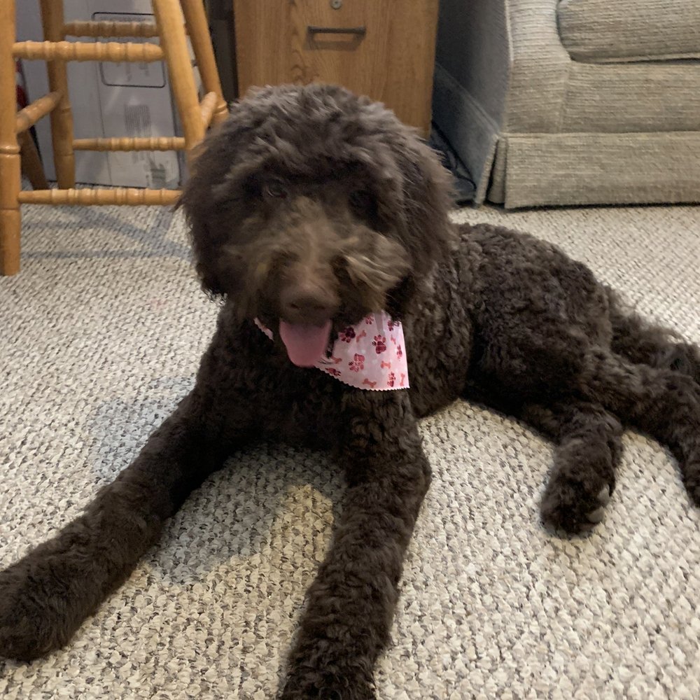 Bella Bella