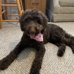 Bella