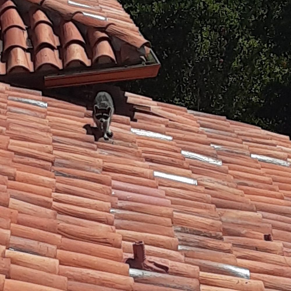 Slide of TX Elite Roofing Services