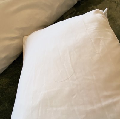 McCloud Mercantile Hotel by null