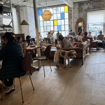 Beni Coffee - Coffee & Tea Near Me - Union City, New Jersey