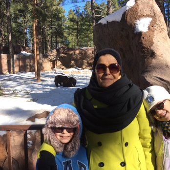 Bearizona - My mommy with my munchkins and bears - Zoos Near Me - Williams, Arizona