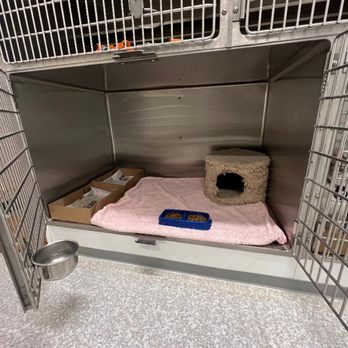 The Kitty Hotel - Pet Boarding Near Me - Campbell, California The Kitty Hotel - Pet Boarding Near Me - Campbell, California
