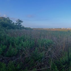 Lake Seminole Park - On the back trail